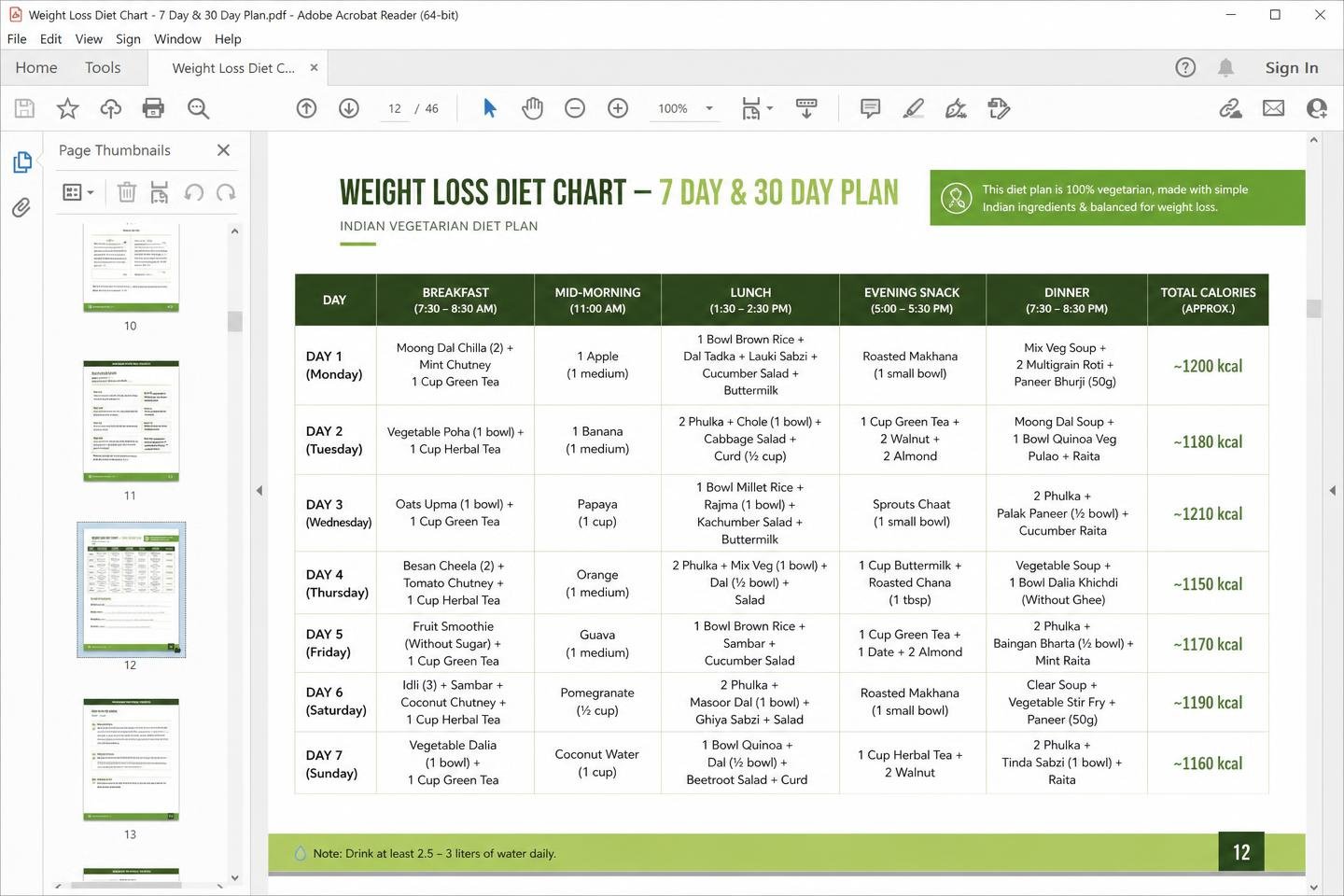 Weight Loss Diet Chart (PDF) — spreadsheet dashboard preview