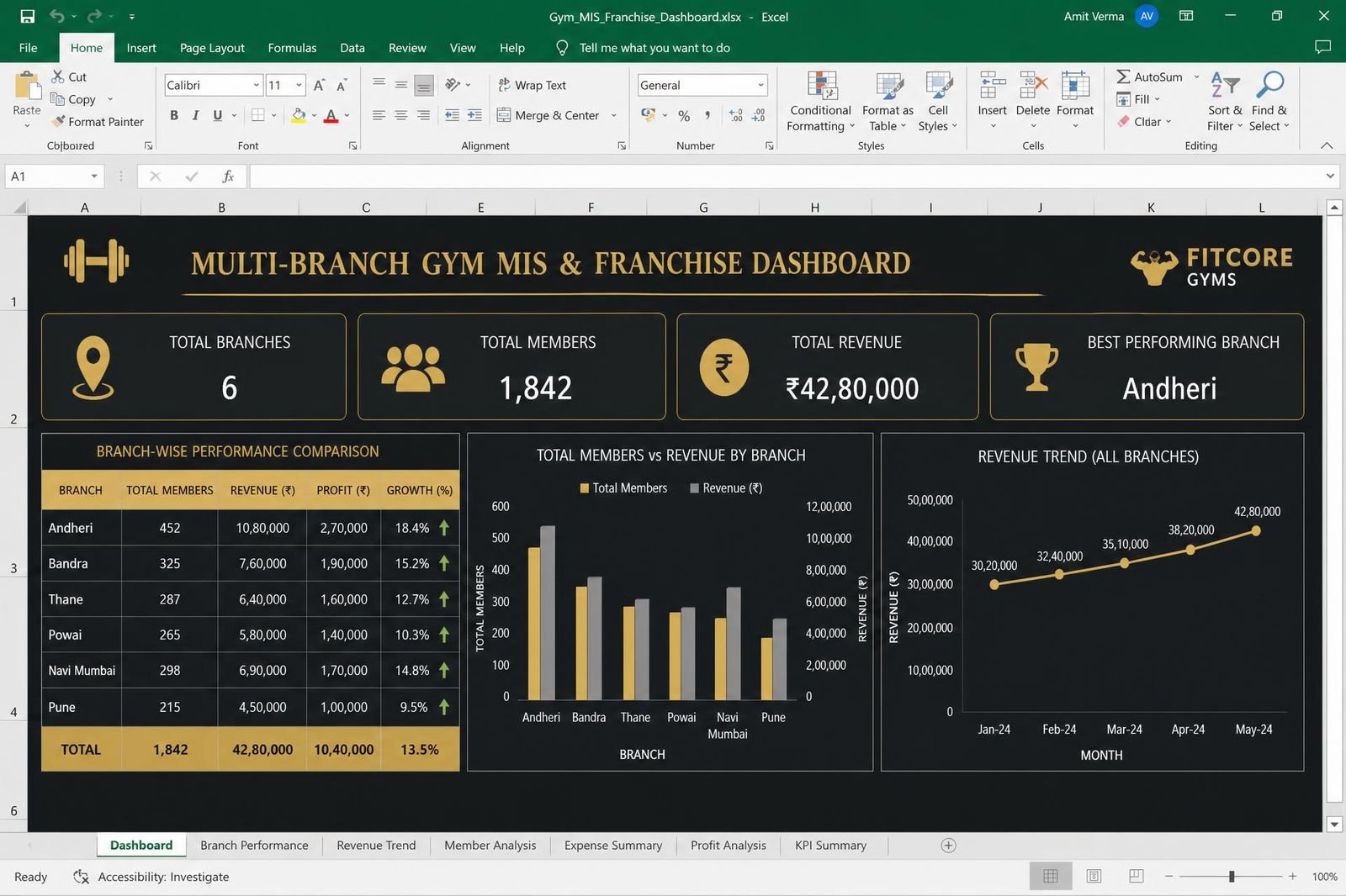 Multi-Branch MIS & Franchise Dashboard — spreadsheet dashboard preview